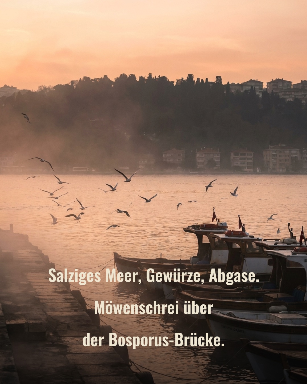 „Salziges Meer, Gewürze, Abgase. Möwenschrei über der Bosporus-Brücke.“